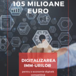 Digitalizarea IMM (1)