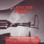 Copy of GRANTURI NORVEGIENE