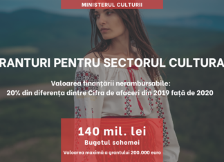 Granturi pentru sectorul cultural